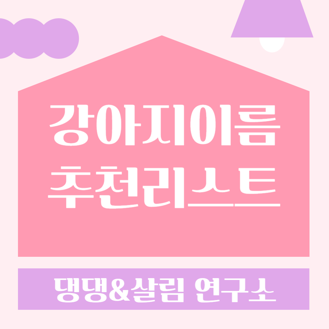 강아지이름