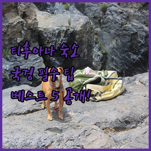 멕시코 티후아나 숙소 결정 가이드 국..
