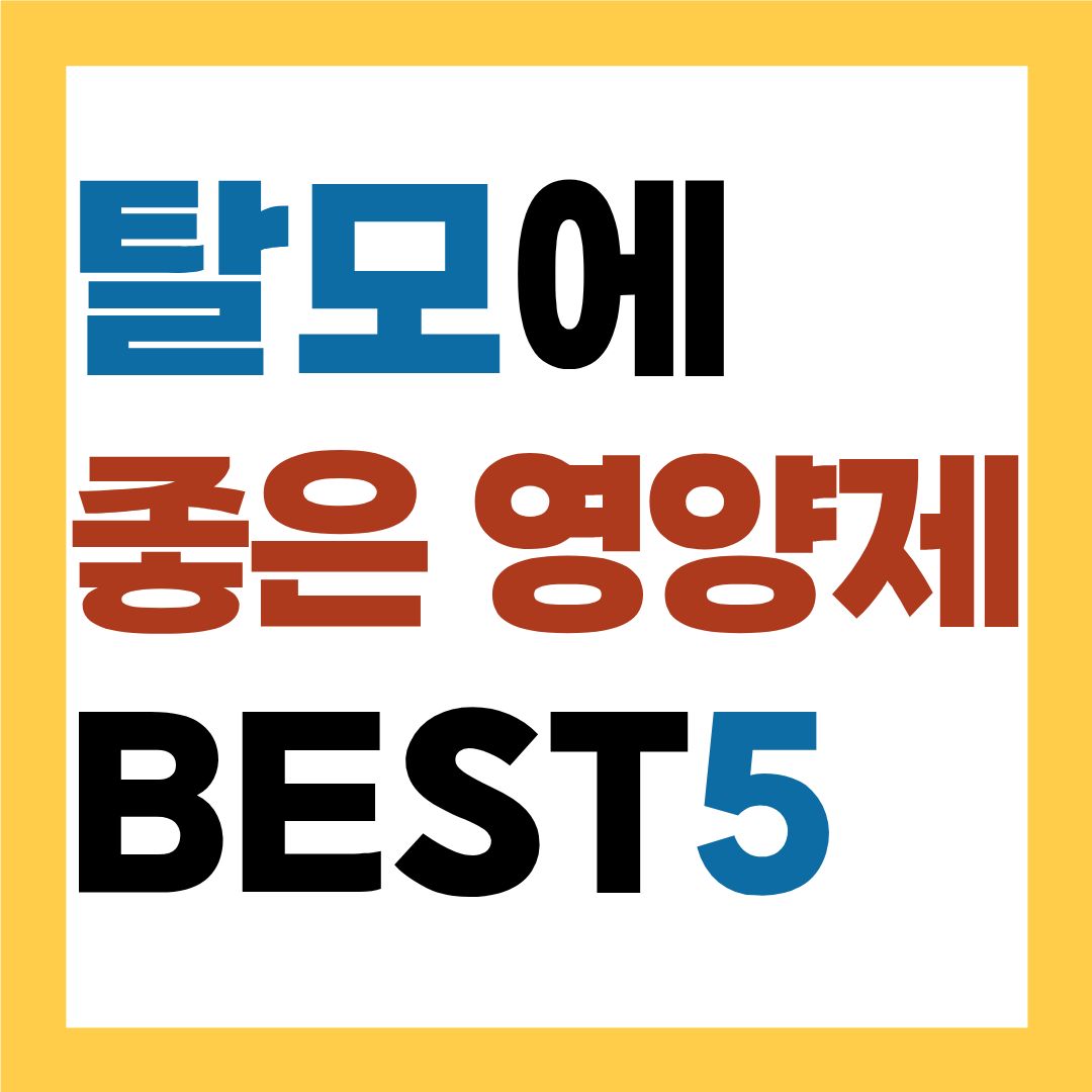 탈모에 좋은 영양제 BEST 5