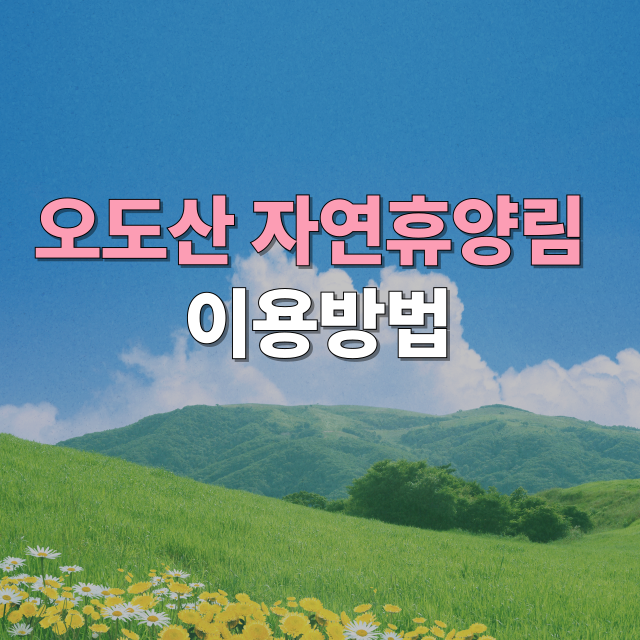 오도산자연휴양림 예약 방법 및 공식 사이트 안내