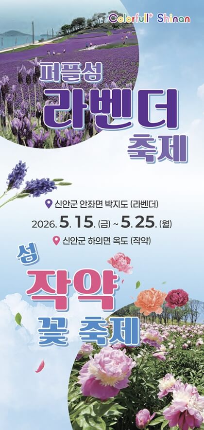 신안 작약꽃축제