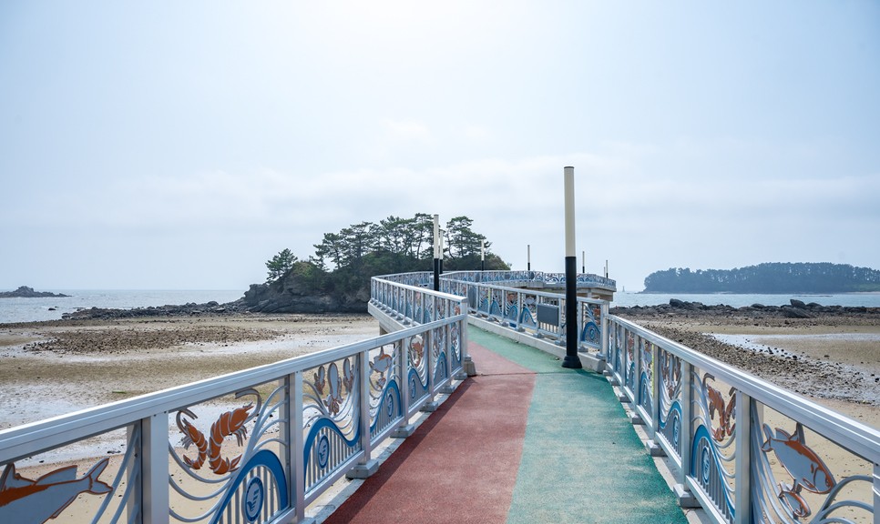 보령 가볼만한곳 (무창포해수욕장)