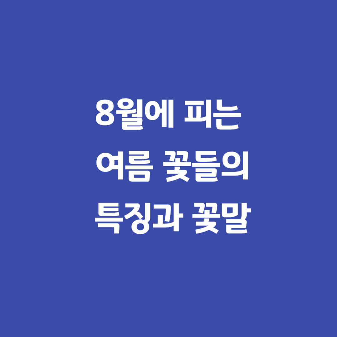 8월에-피는-꽃들의-의미-특징-꽃말