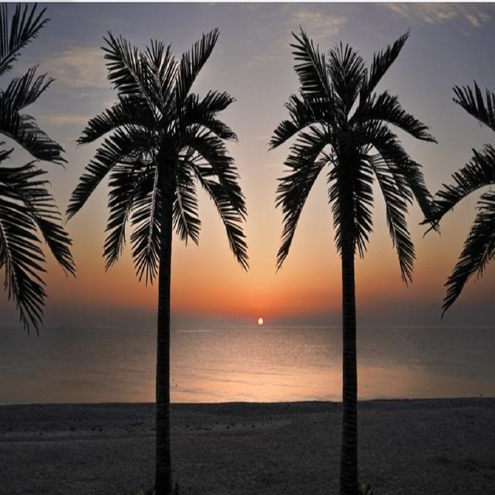 오류 해수욕장 바로가기