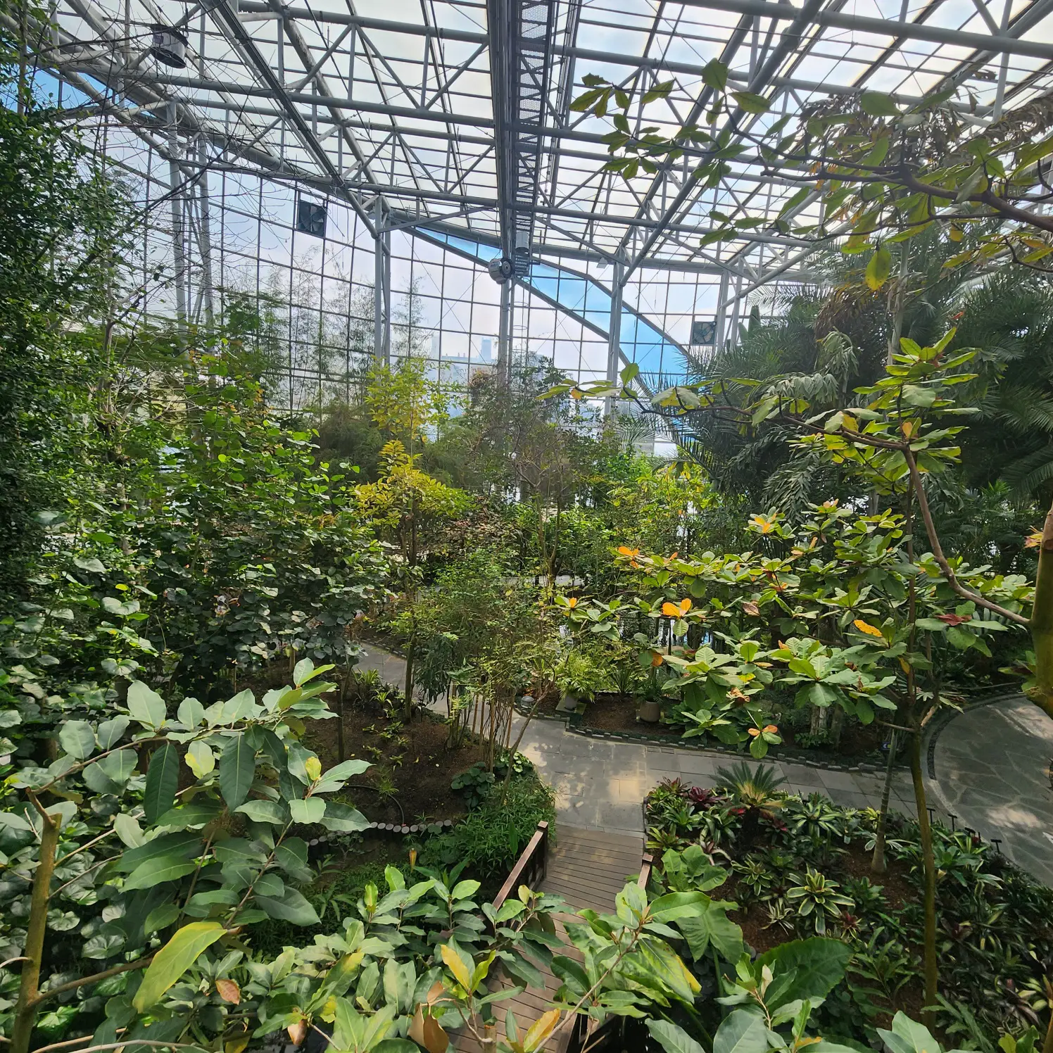 식물원-내부-여러-식물