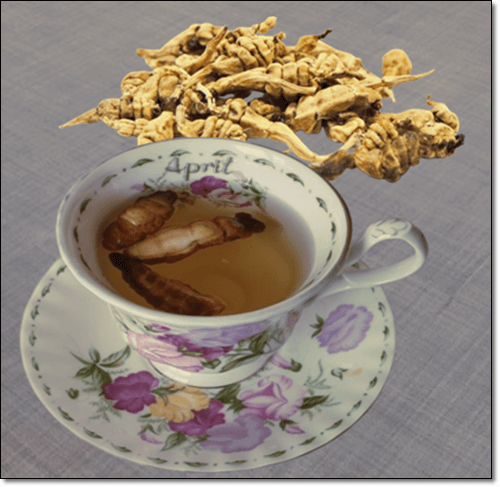 초석잠 차 우리기