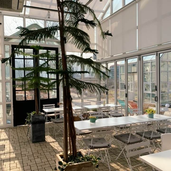 가평 청평 맛집 추천 생방송투데이 부채살 스테이크 화덕 통삼겹 바베큐 BBQ 화덕 피자 깔조네 파스타 브런치 오늘방송 떴다 동네방네