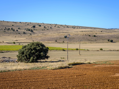 농지연금 조건 및 신청방법 수령액 총정리