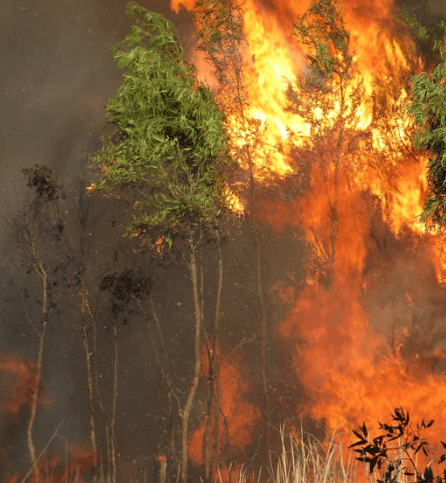 손해평가사 시험일정&amp;#44; 시험과목(전망&amp;#44; 연봉)