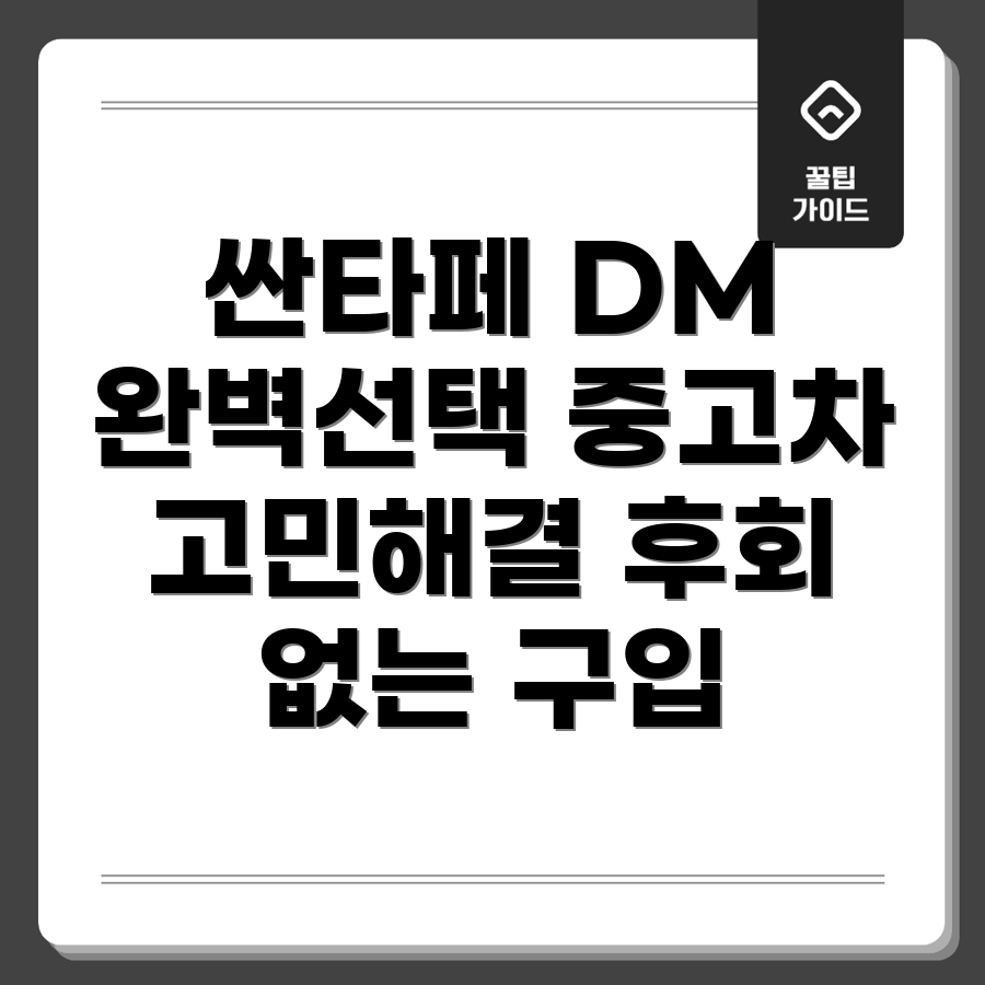 싼타페 DM 중고차