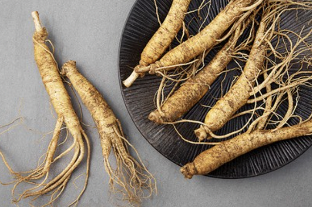 홍삼-효능-부작용