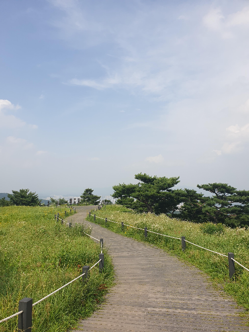 뱃살을 빼고 건강을 되찾은 후 올라본 아차산 정상 근처의 풍경
