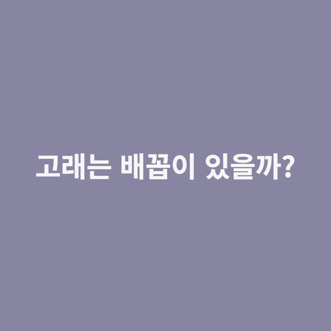 고래도 배꼽이 있을까?