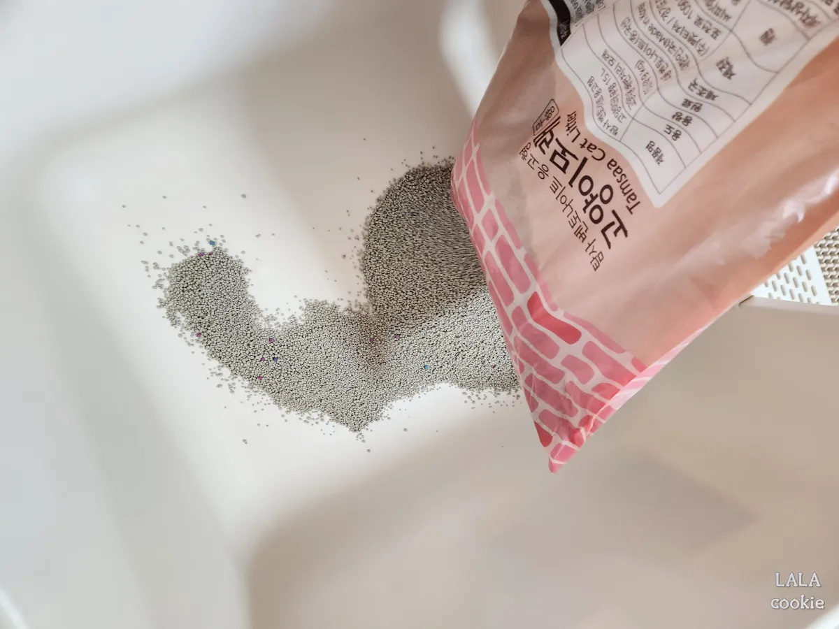 탐사-고양이-벤토나이트-모래-후기-고양이-화장실에-모래붓기