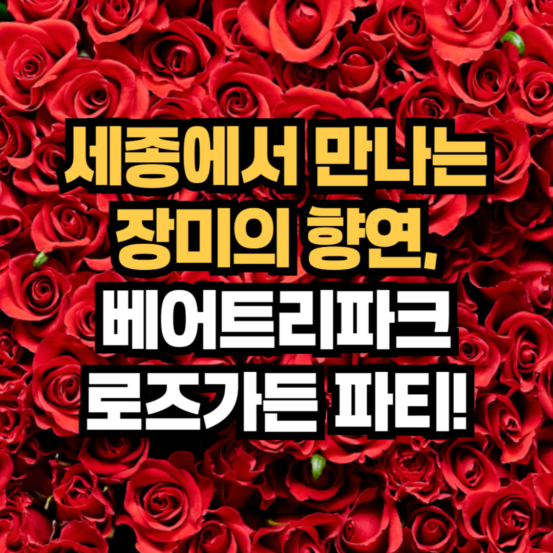 베어트리파크 수목원 로즈가든 파티 2025