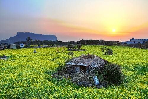제주도, 성산일출봉 친황경 여행