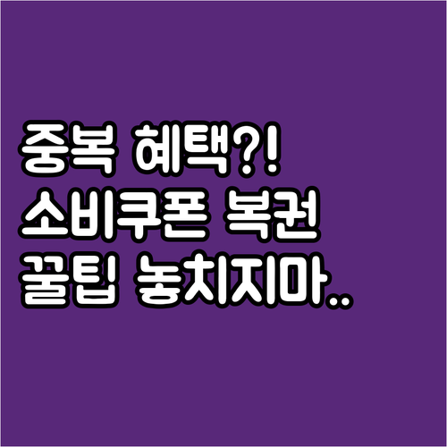 소비쿠폰과 상생복권 혜택 중복 수혜의..