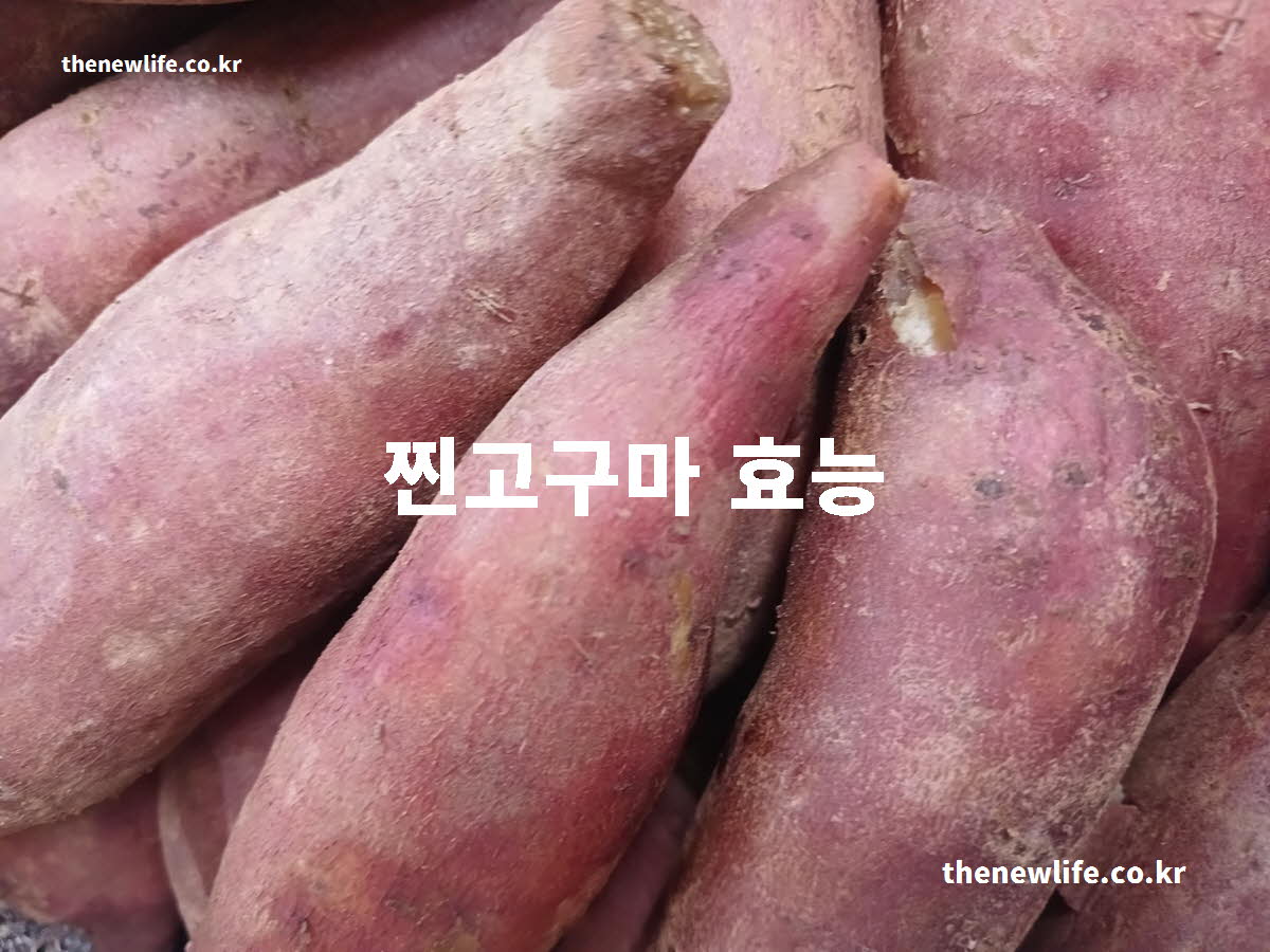 찐고구마 효능 대표 실사진