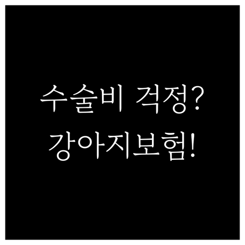 슬개골 수술비 걱정 없다면 강아지 보..