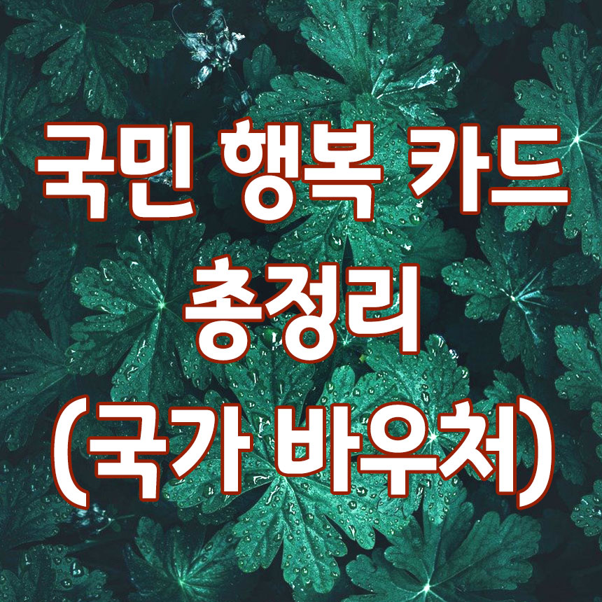 국민 행복 카드 총정리 썸네일