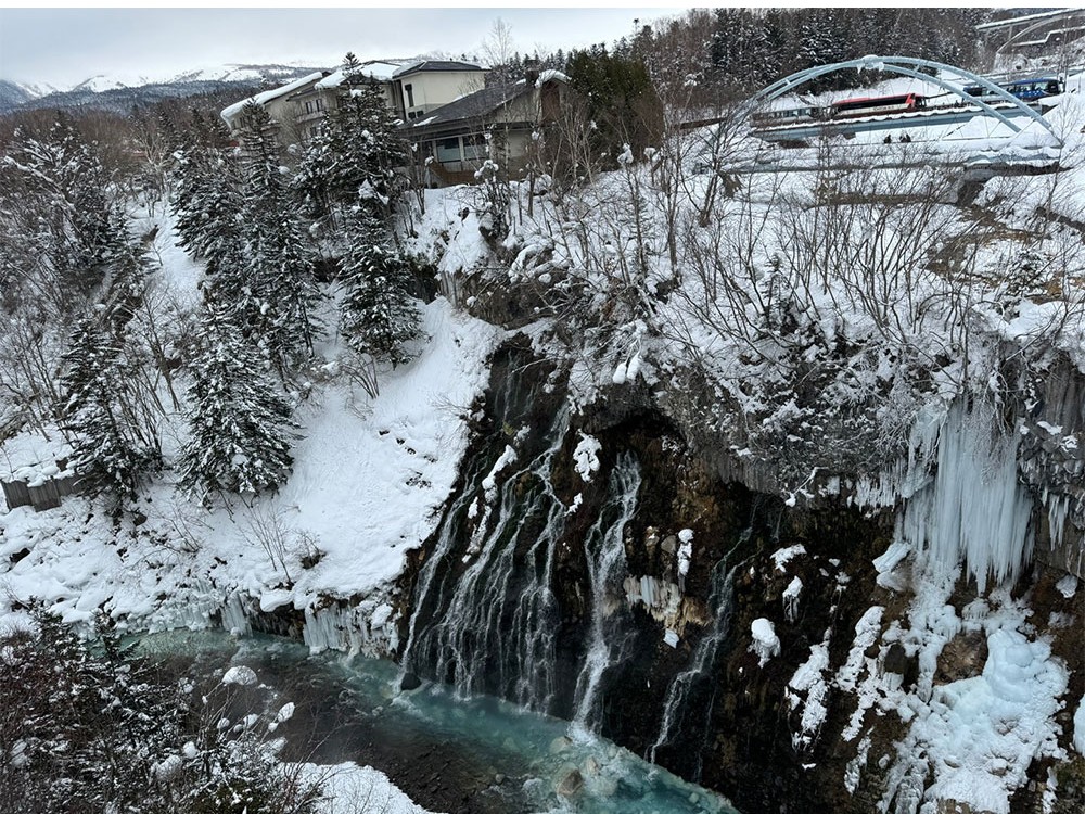 시라히게노타키(흰 수염 고래 폭포)
암벽 틈에서 여러 갈래로 흘러내리는 물줄기가 특징인 비에이 대표 자연 명소예요.