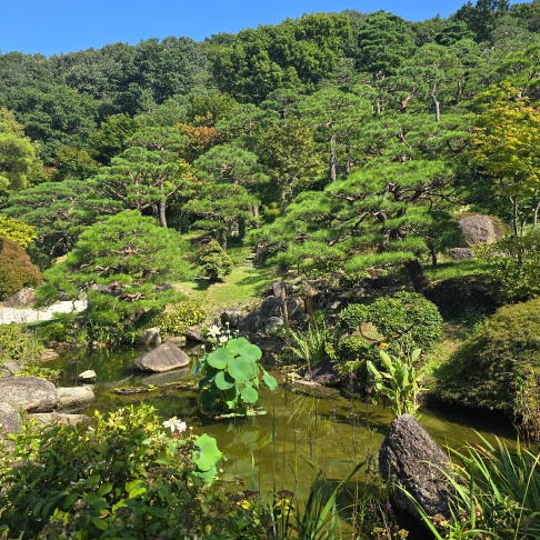 화담숲 온라인 예매하기 (할인 정보&amp;#44; 취소 환불)