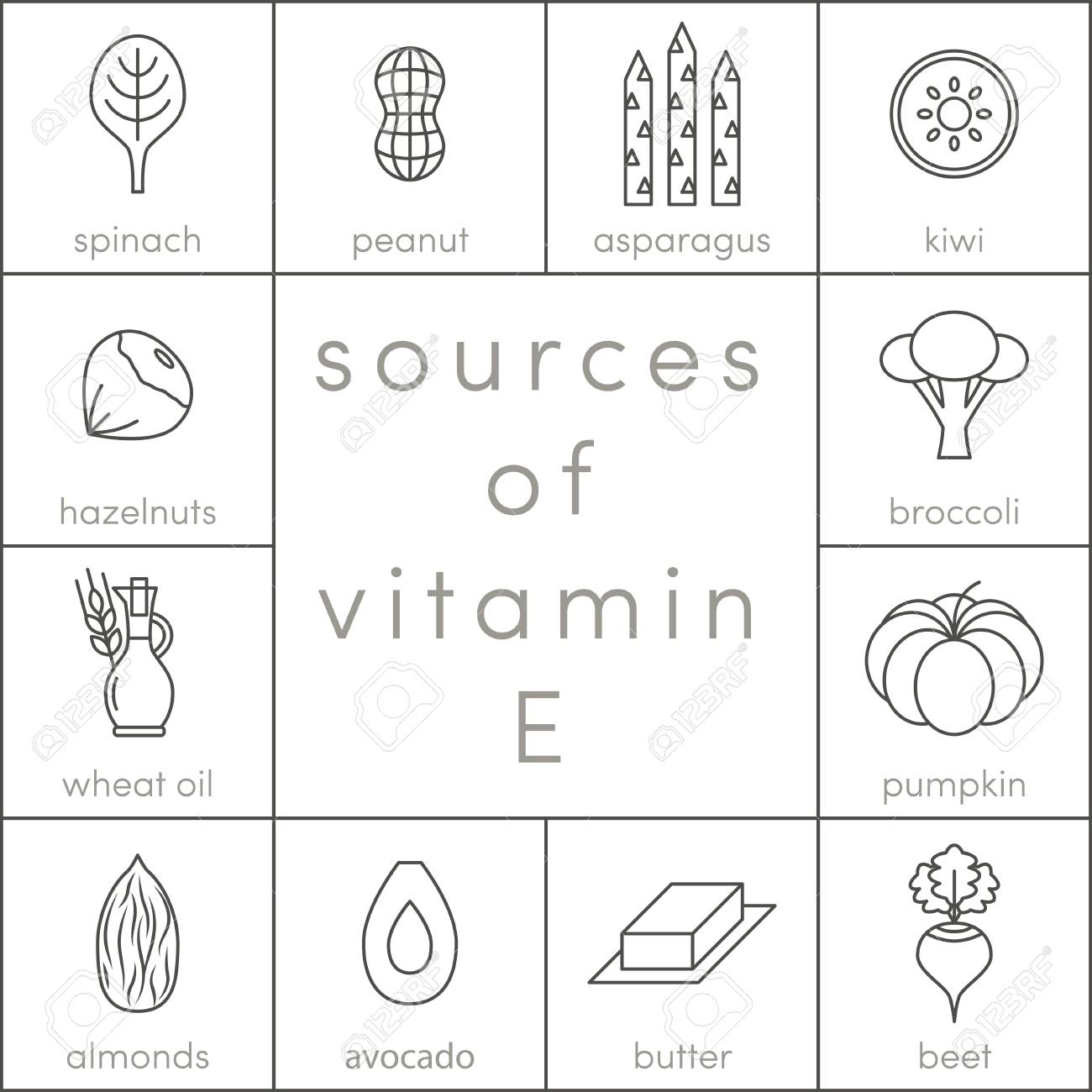 비타민 E의 역할, 몸속 세포를 지키는 작은 보호막