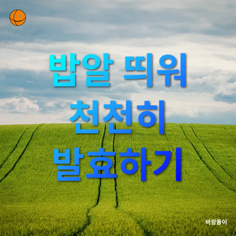 엿기름 식혜_2