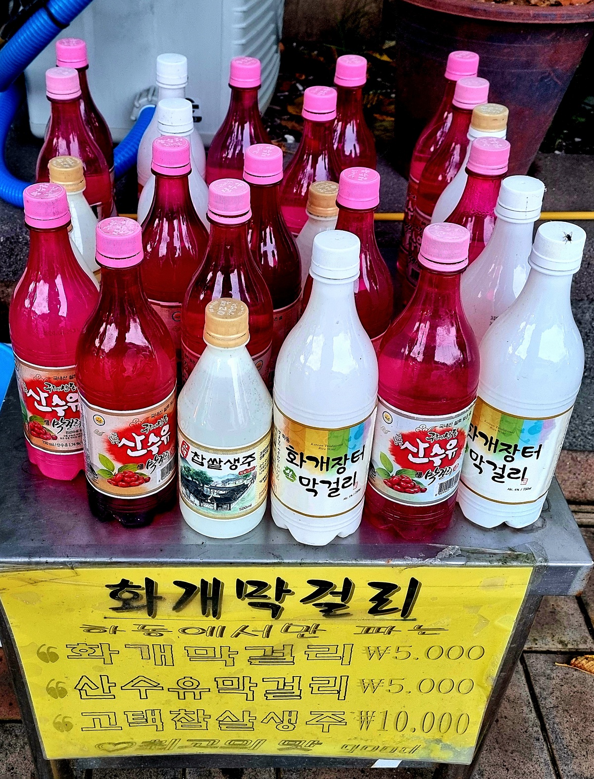 경남 하동 섬진강 화개장터: 물놀이, 볼거리와 먹거리, 박경리 토지길 코스, 맛집 혜성식당