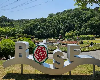 울산대공원 장미축제_4