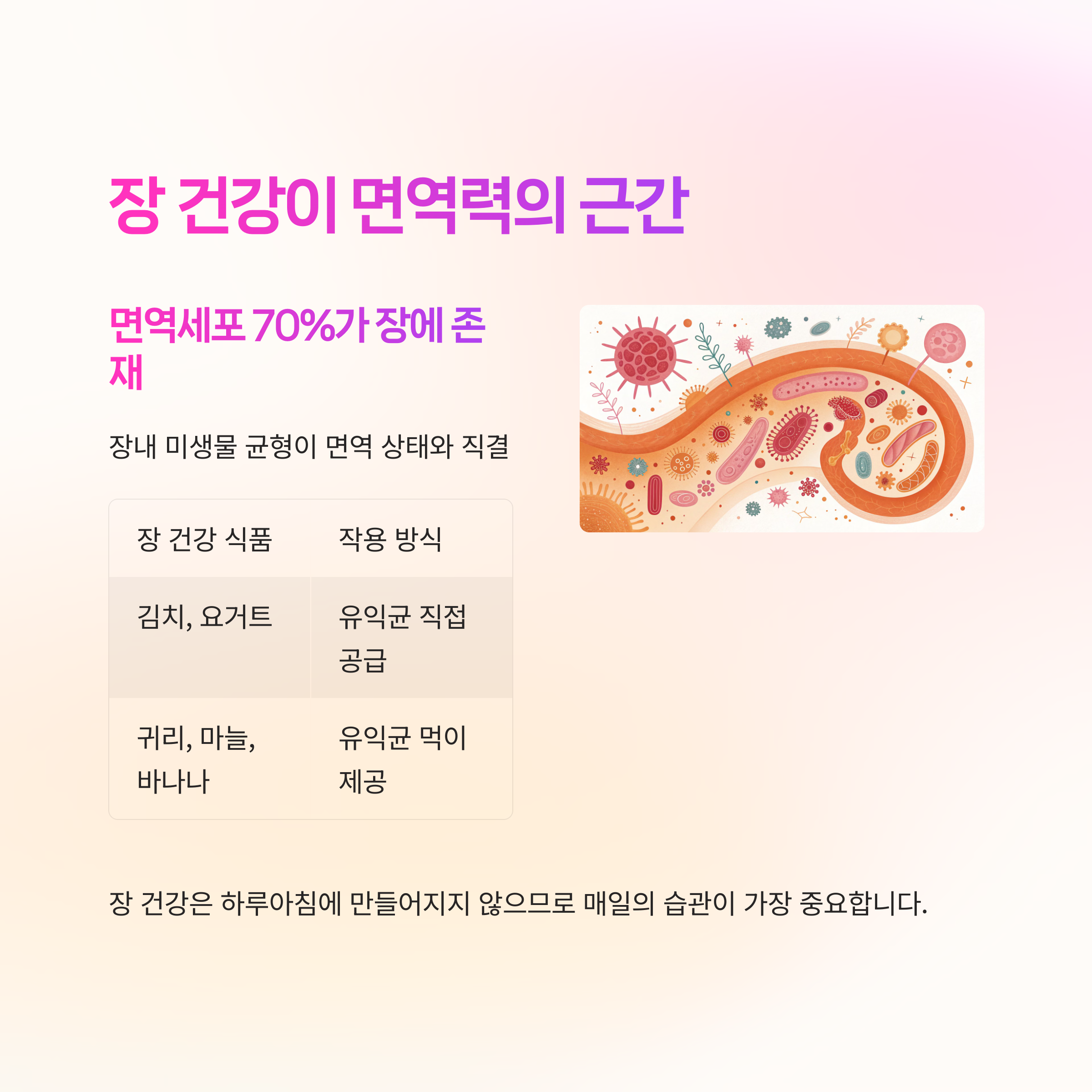 장 건강이 면역력의 근간