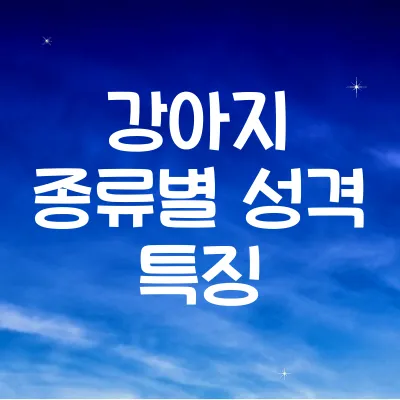 강아지 종류별 성격