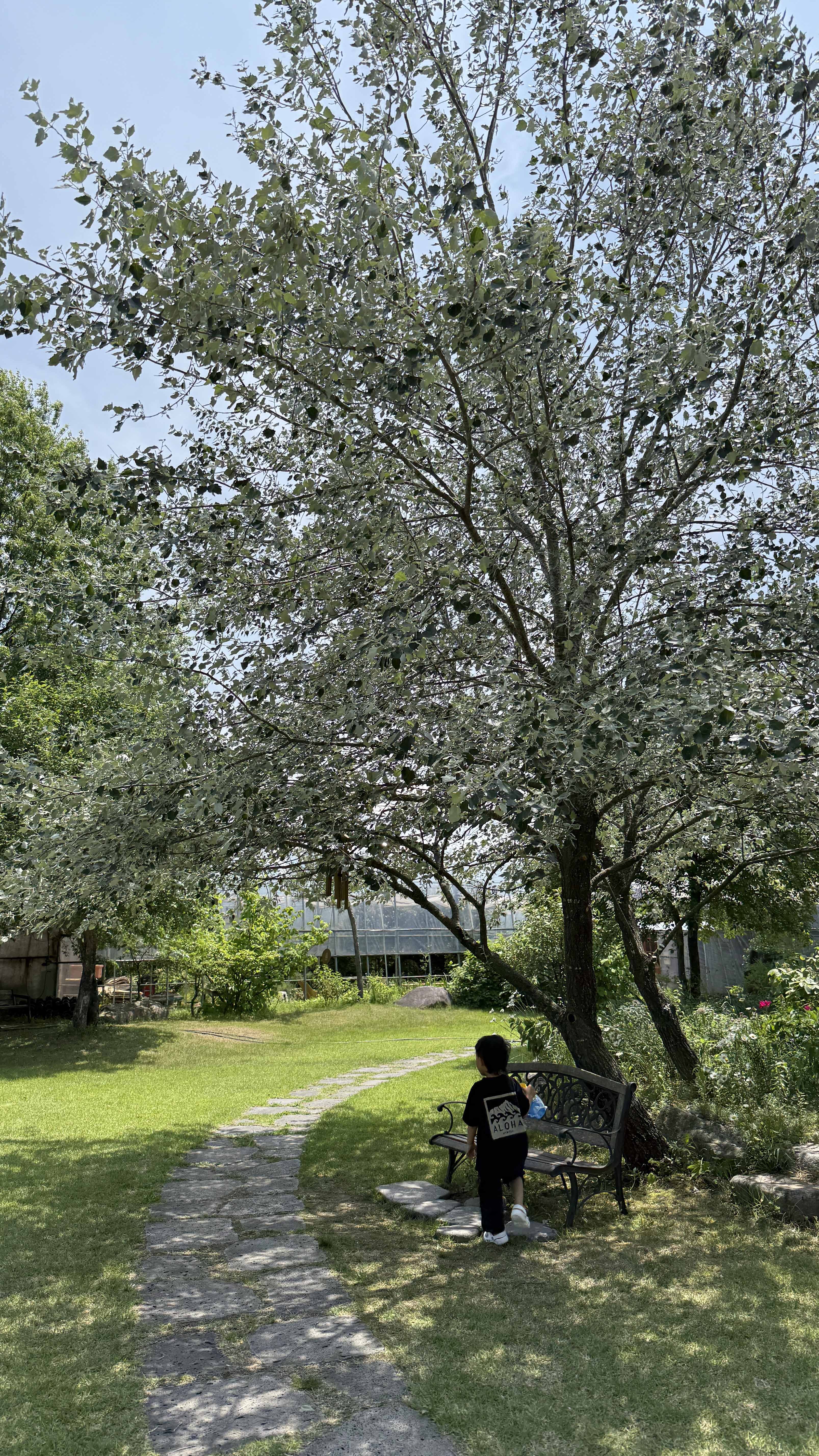 강원도 횡성 맛집_채림의 정원