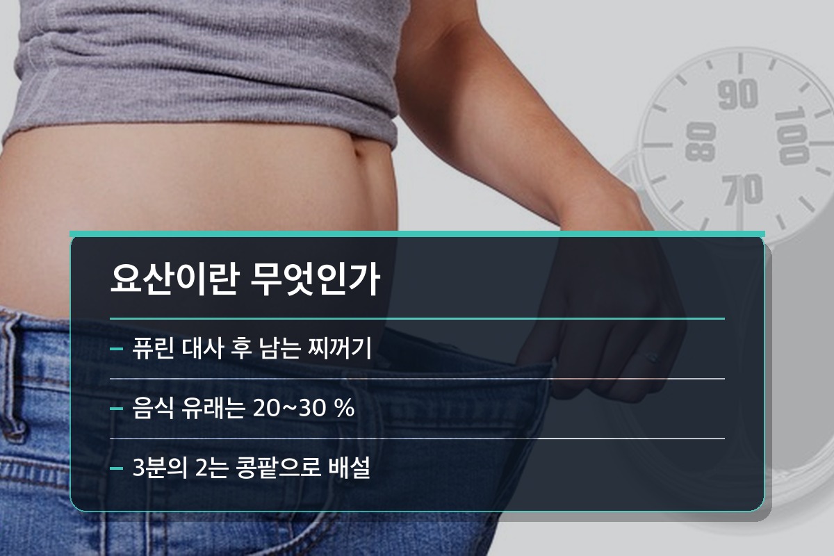 요산 수치 정상범위 요산은 대체 몸의 무엇을 보는 검사일까요?