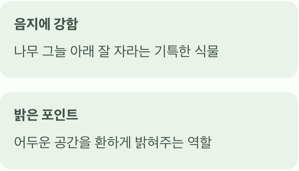 활용법 셋, 나무 그늘 아래, 빛나는 포인트