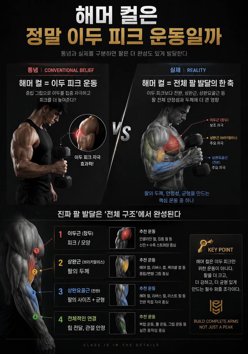 해머 컬은 정말 이두 피크 운동일까