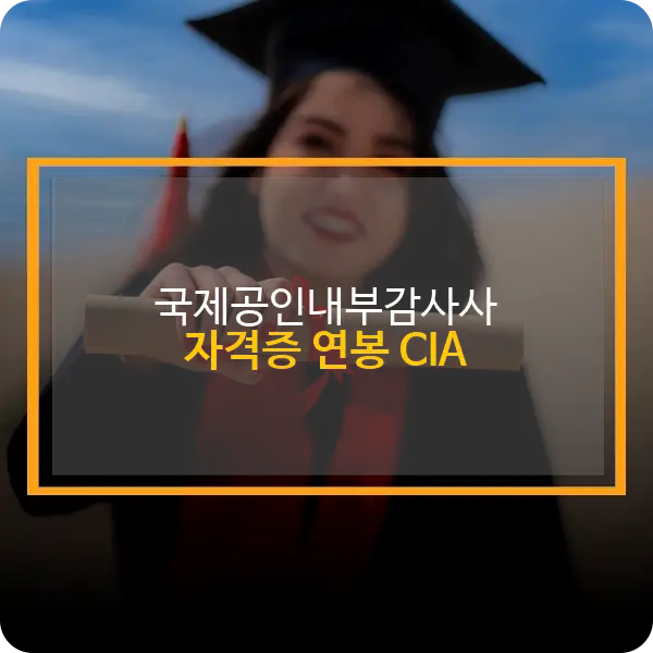 국제공인내부감사사