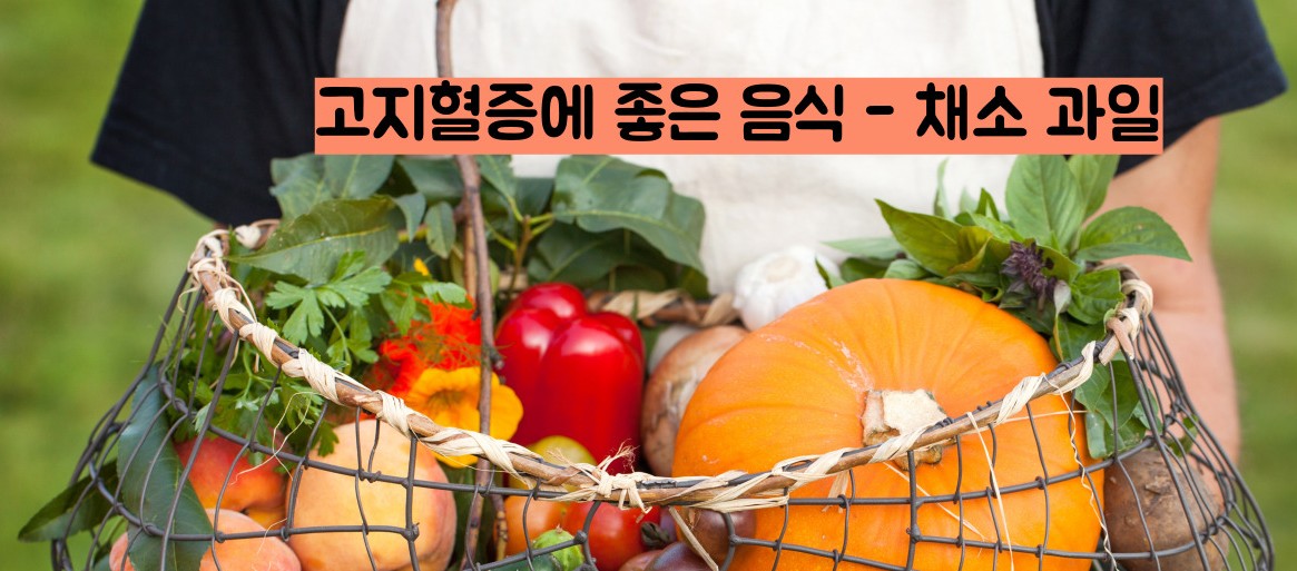 고지혈증에 좋은 음식