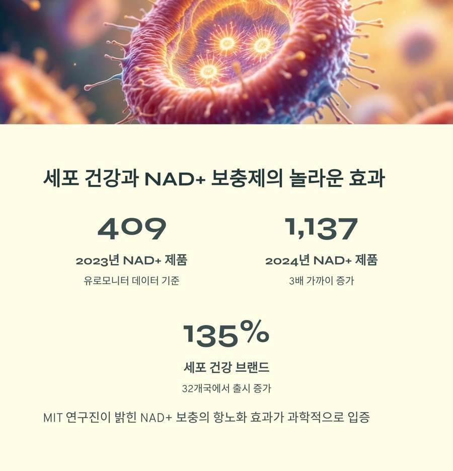 NAD+ 보충제의 세포 건강과 항노화 효과를 설명하는 인포그래픽