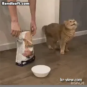 img.webp?credential=yqXZFxpELC7KVnFOS48ylbz2pIh7yKj8&expires=1767193199&allow_ip=&allow_referer=&signature=lZhJxa5patyVOq8BEOz0tmfNjfA%3D