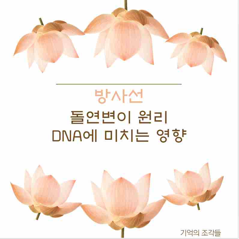 방사선 돌연변이 원리 DNA에 미치는 영향