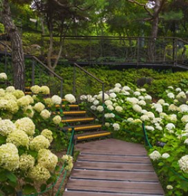 화담숲 예약: 한국의 고요한 수목원을 방문하는 방법&amp;#44; 입장료&amp;#44; 그리고 계절별 팁