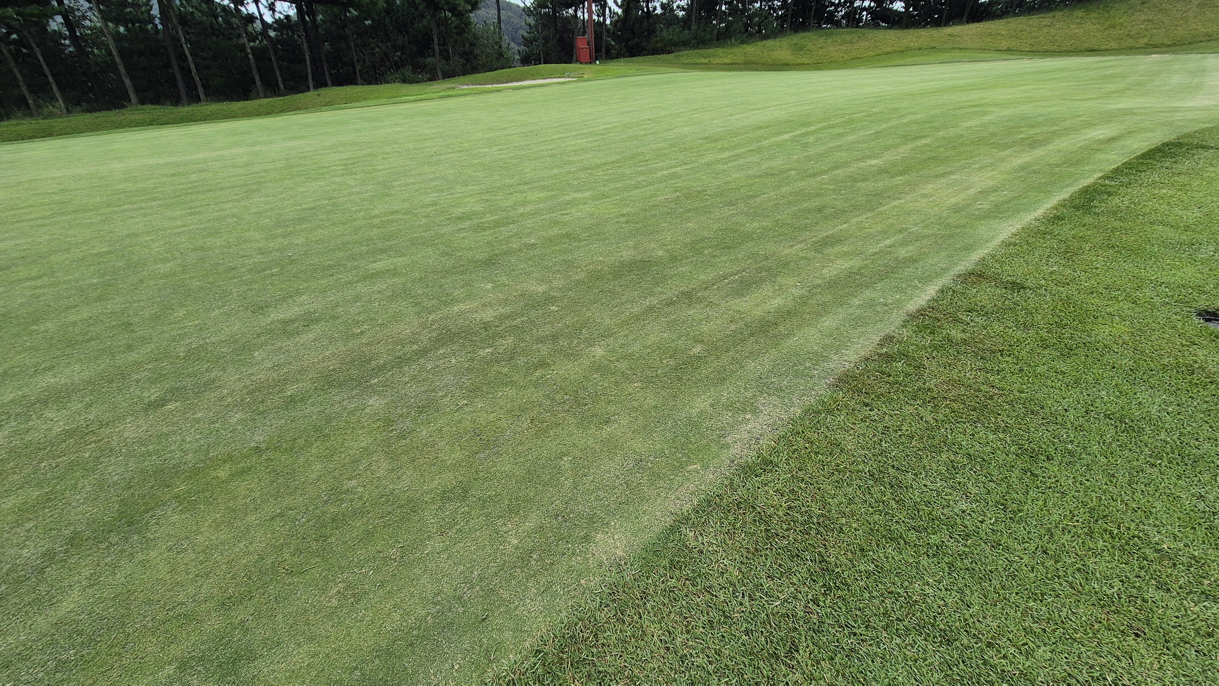서산수cc 그린 빠르기 및 난이도
