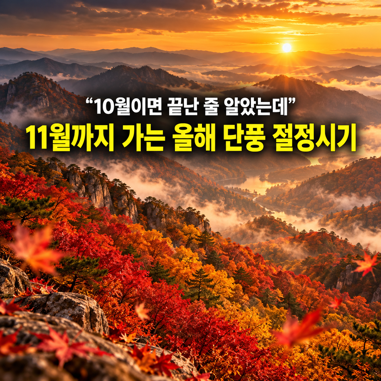 "10월이면 끝난 줄 알았는데" 11월까지 가는 올해 단풍 절정시기