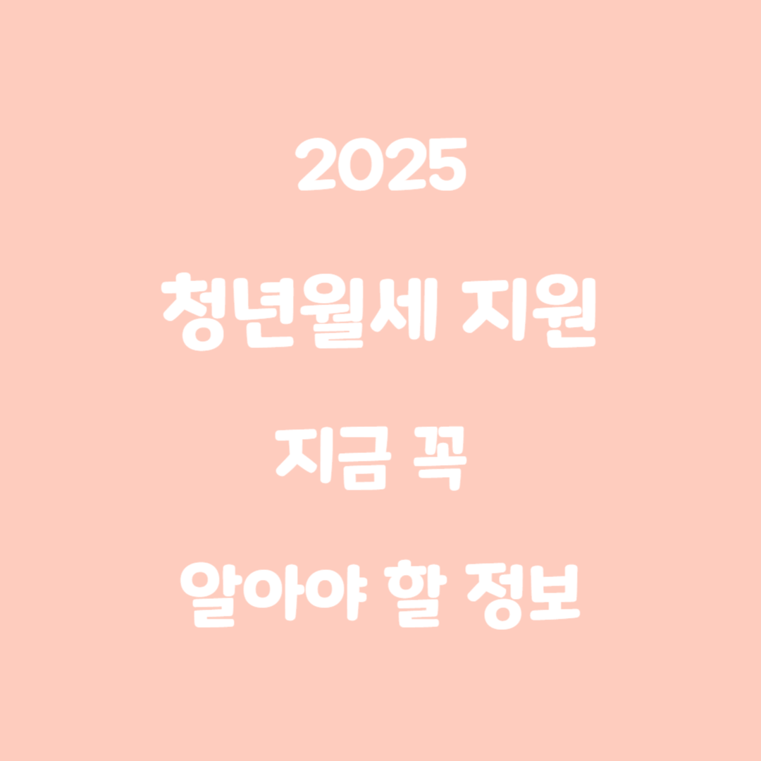 청년월세
