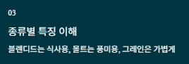 하이볼 위스키 추천 TOP5
