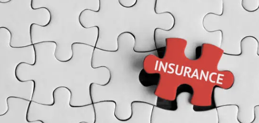 다이렉트자동차보험 비교견적 11