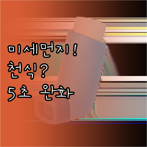 미세먼지 심한 날 천식 증상 완화하는..