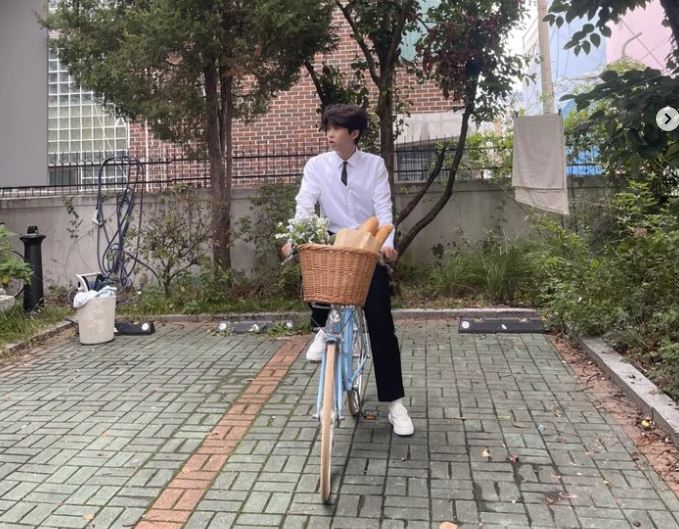 임영웅 프로필 갤러리 팬카페 노래 신곡