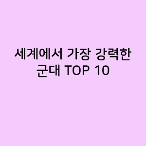 세계에서 가장 강력한 군대 TOP 10